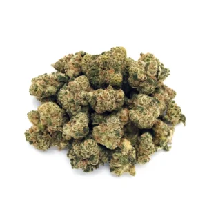 68de9b7039be15dc6f1f8244_Archetype-14g-scaled-1.webp Archetype | Mini-Buds |