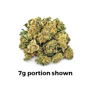68dfbec237f142cfab4ee01c_Cap-Junky-Minis-14g-300px.webp Cap Junky | Mini-Buds | 1/2 oz.