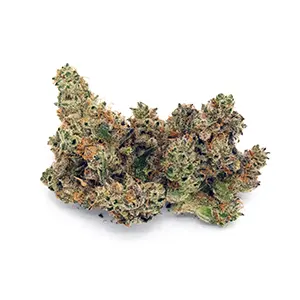 68e822310b4ecb4411609225_Golden-Sands-3.5g-300px.webp Golden Sands ✨