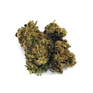 68e825d54d117888cfd53f06_Deadhead-OG-3.5g-Minis-scaled-1.webp Dead Head OG π