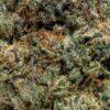 Blue Cookies 🍪