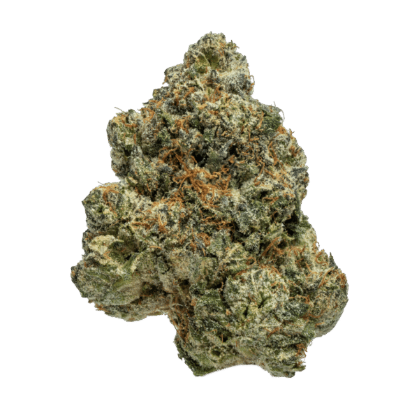 Blue Cookies 🍪