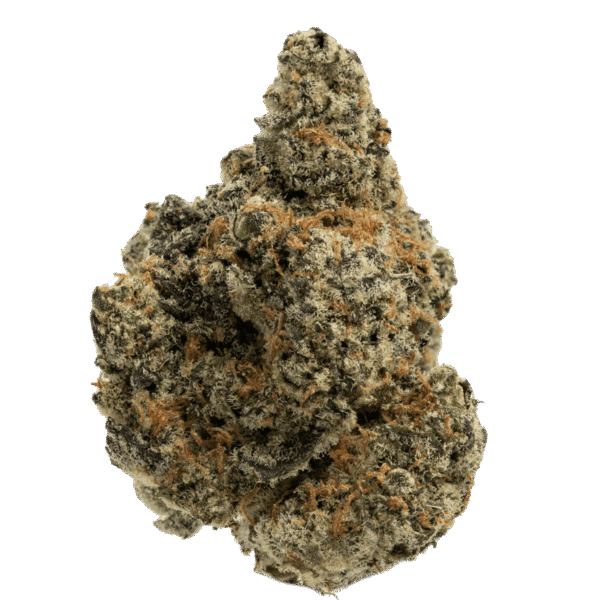 Gas Can ⛽