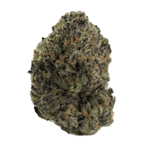 Gush-Mintz-WEB-300x300-1.png Gush Mintz