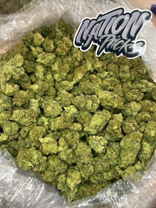 IMG_20251103_114250_407.jpg Cap Junky | Mini-Buds | 1/2 oz.