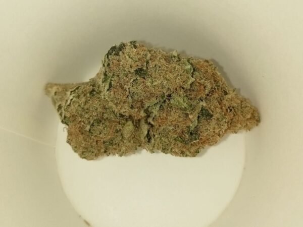 Ice Cream Strain
