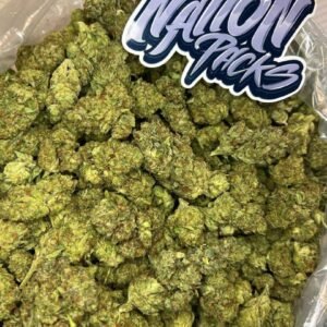 M-FLOWER-10.jpg N.O.Y.B. | 1/8 oz.