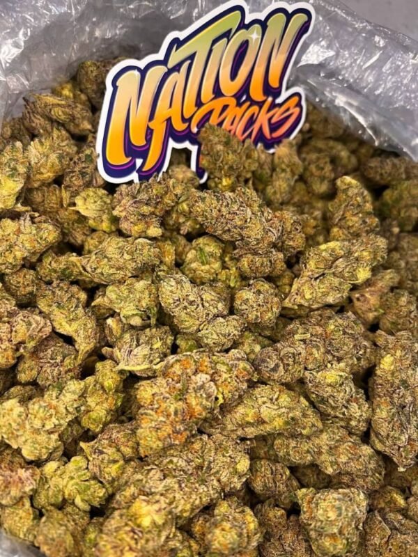 MFLOWER-4.jpg Gas Can ⛽