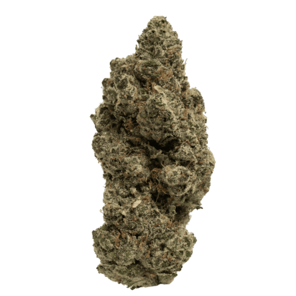 Mule-Fuel-web-FULL-8.4.25.png Mule Fuel