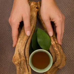 aya-300x300-1.webp Soul Herbs: Buy Ayahuasca | Ayahuasca Online for Sale