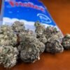 frosties-neros-cutt-strain-477x400-1.jpg Buy Frostiez Joke’s Up | 40g