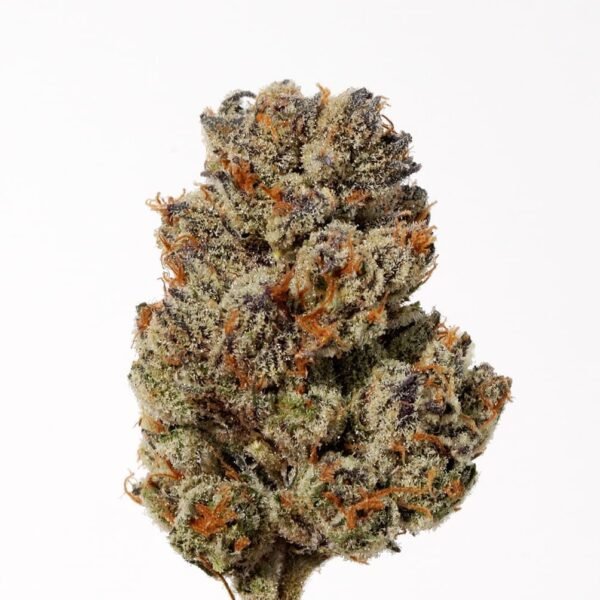 Ice Cream Strain