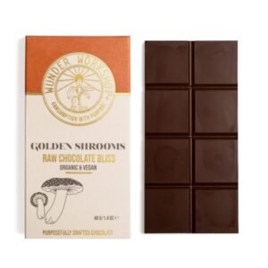 psy0-1-600x707-1.jpg Golden Shrooms Chocolate Edible